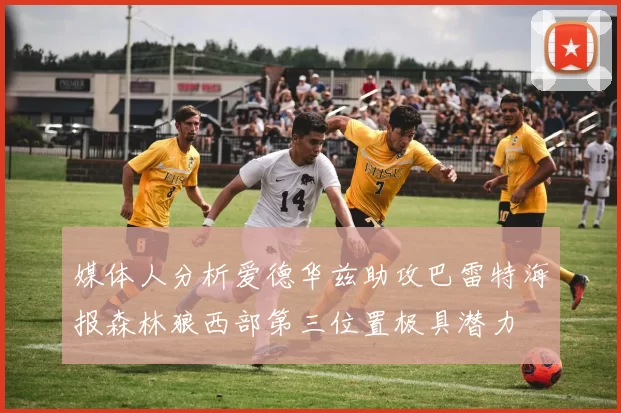 媒体人分析爱德华兹助攻巴雷特海报森林狼西部第三位置极具潜力