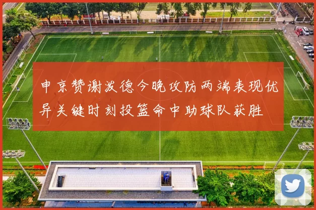 申京赞谢泼德今晚攻防两端表现优异关键时刻投篮命中助球队获胜